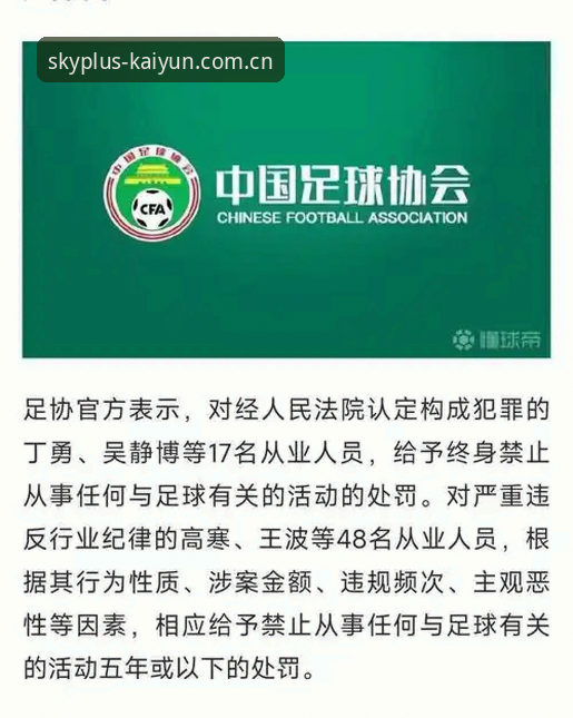 足协第三批禁足名单全面解析：中国足球反腐进程的深度观察